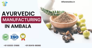 Ayurvedic Manufacturing in ambala
