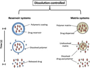 Controlled Release Systems