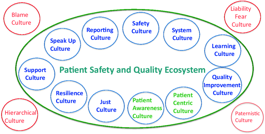 Quality and Safety