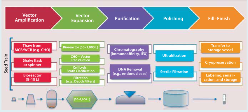 Manufacturing of Viral Products